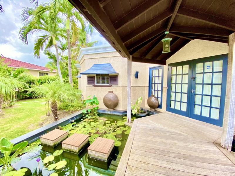 Hocus Pocus , Christ Church  , South Coast  