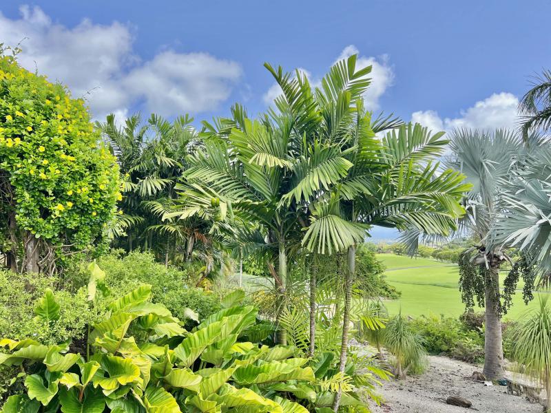 6A Harbour View Lioncastle Polo Estate , St Thomas , West Coast  