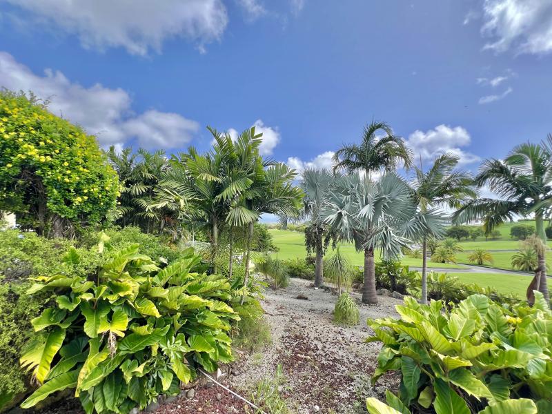 6A Harbour View Lioncastle Polo Estate , St Thomas , West Coast  