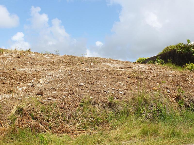 Cottage Heights Lot 16 , St George  