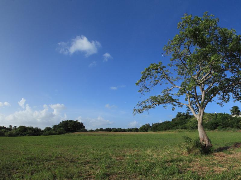 Lagoon Land - Speightstown , Speightstown , St Peter , West Coast  
