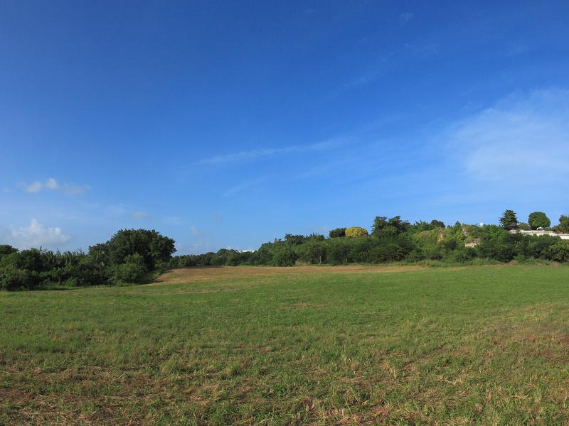 Lagoon Land - Speightstown , Speightstown , St Peter , West Coast  