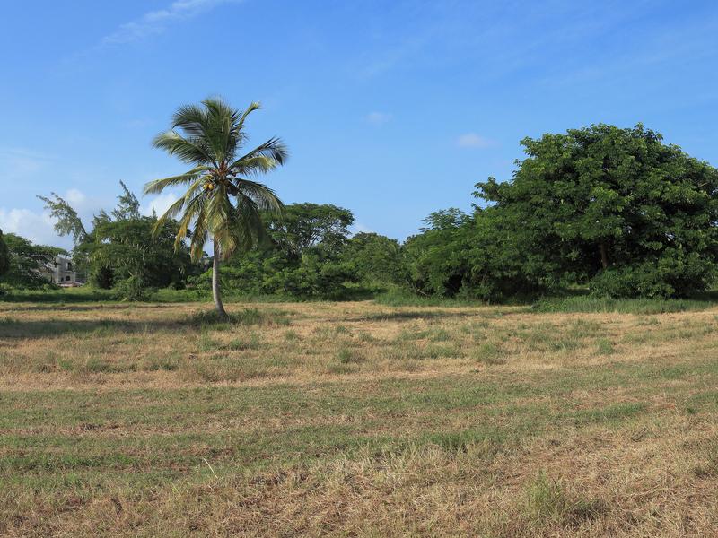 Lagoon Land - Speightstown , Speightstown , St Peter , West Coast  