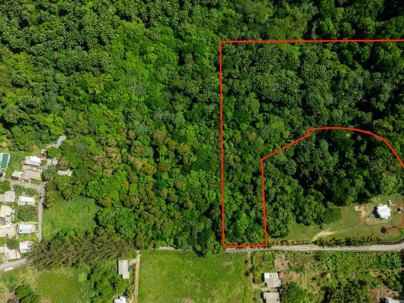 Lot 2 Bloomsbury , St Thomas  