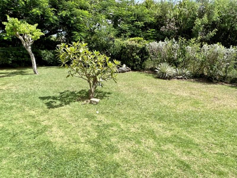 Mount Standfast Plantation 3 , St James , West Coast , Westmoreland  