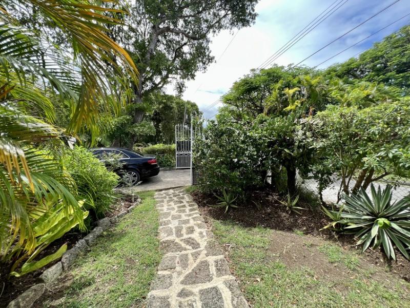 Mount Standfast Plantation 3 , St James , West Coast , Westmoreland  