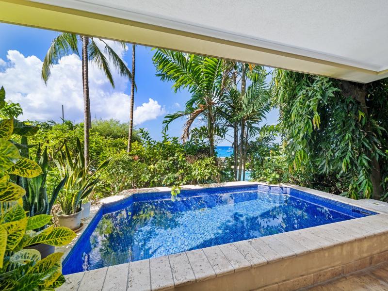 Sandy Cove 101- Beachfront , Beach Front , Paynes Bay , Sandy Cove , St James , West Coast  