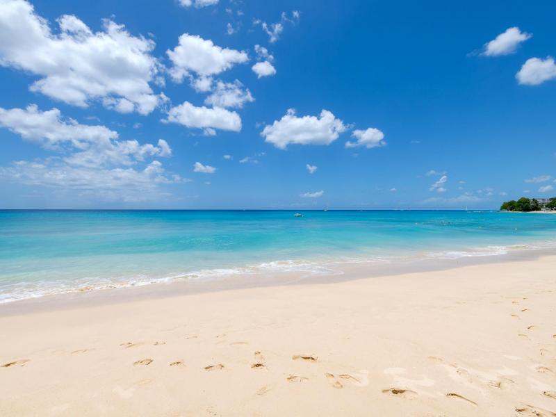 Sandy Cove 501 Penthouse - Beachfront , Beach Front , Sandy Cove , St James , West Coast  