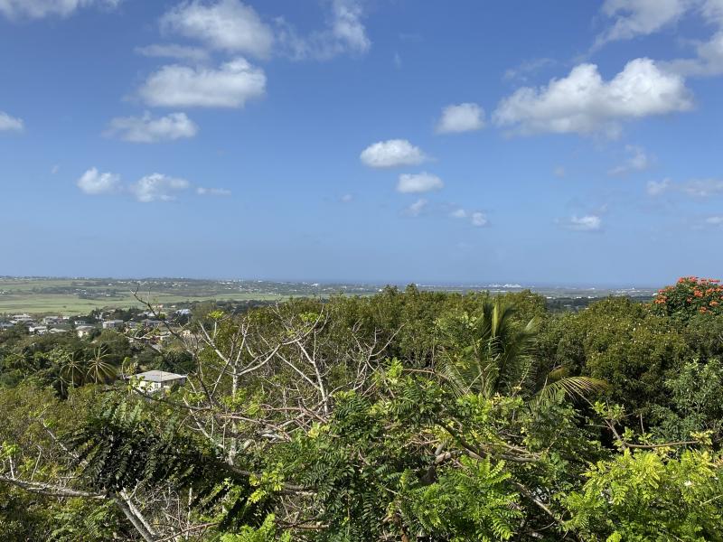 The Mount 9 , St George  