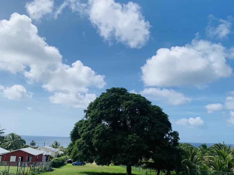 The Ivy Development Land Project , St James , West Coast  