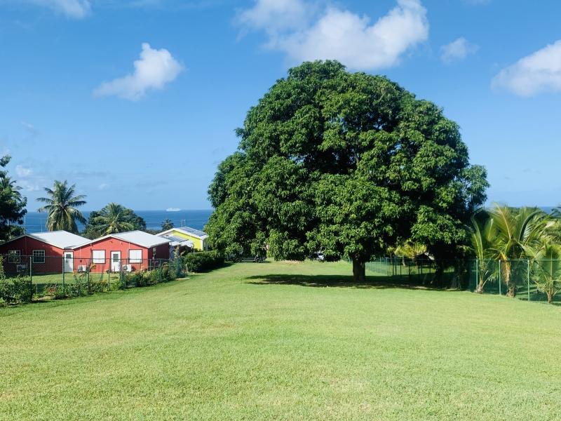 The Ivy Development Land Project , St James , West Coast  