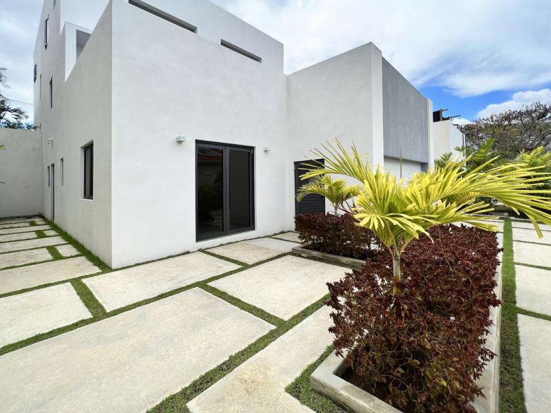 Hocus - Mount Standfast  , St James , West Coast  