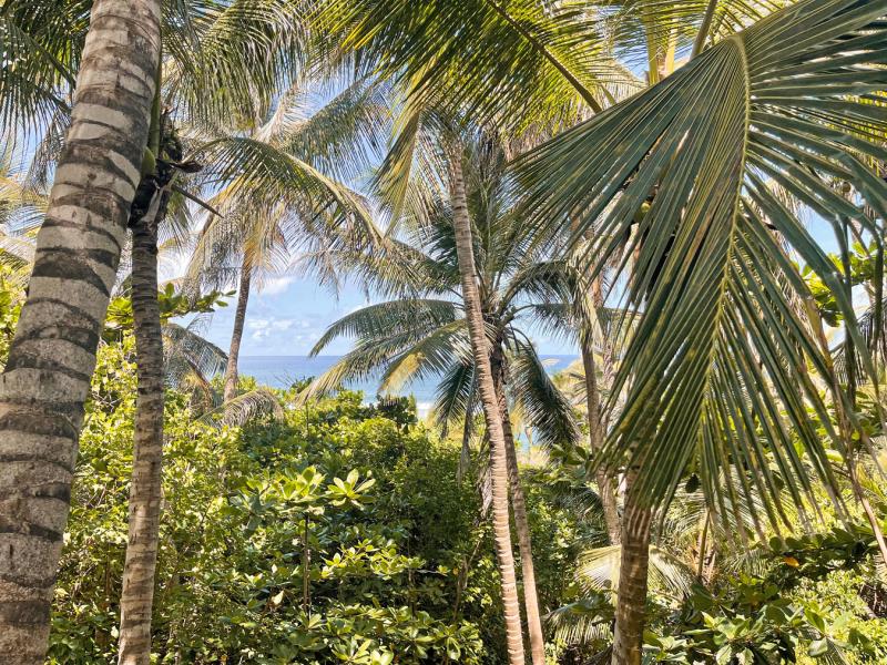 Eco Lodge and Lifestyle , East Coast , St Joseph  