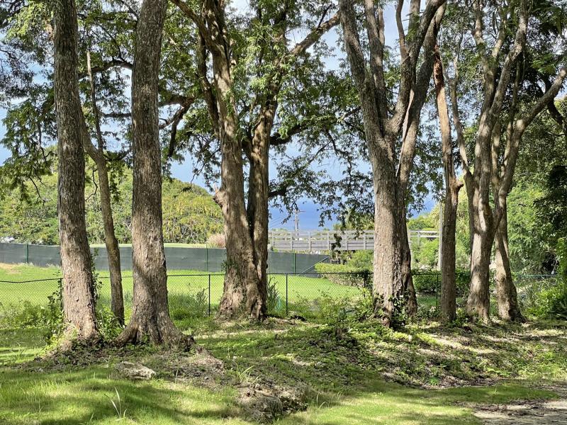 Westmoreland Plantation , St James , West Coast , Westmoreland  