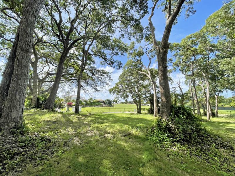 Westmoreland Plantation , St James , West Coast , Westmoreland  