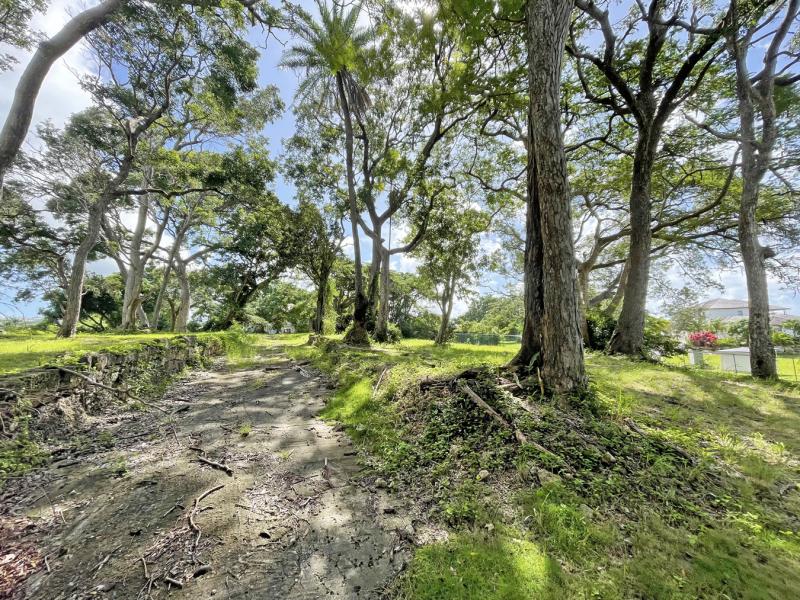 Westmoreland Plantation , St James , West Coast , Westmoreland  