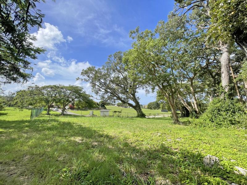 Westmoreland Plantation , St James , West Coast , Westmoreland  