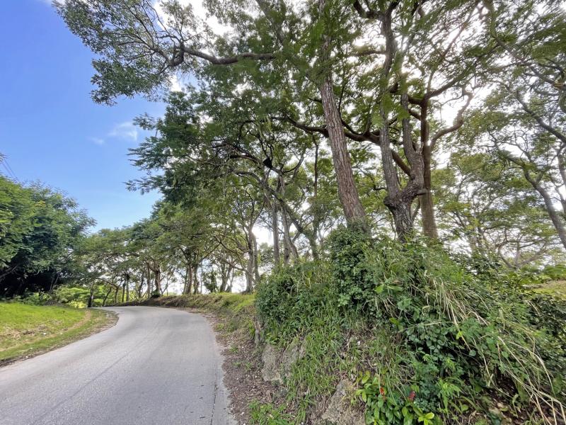 Westmoreland Plantation , St James , West Coast , Westmoreland  