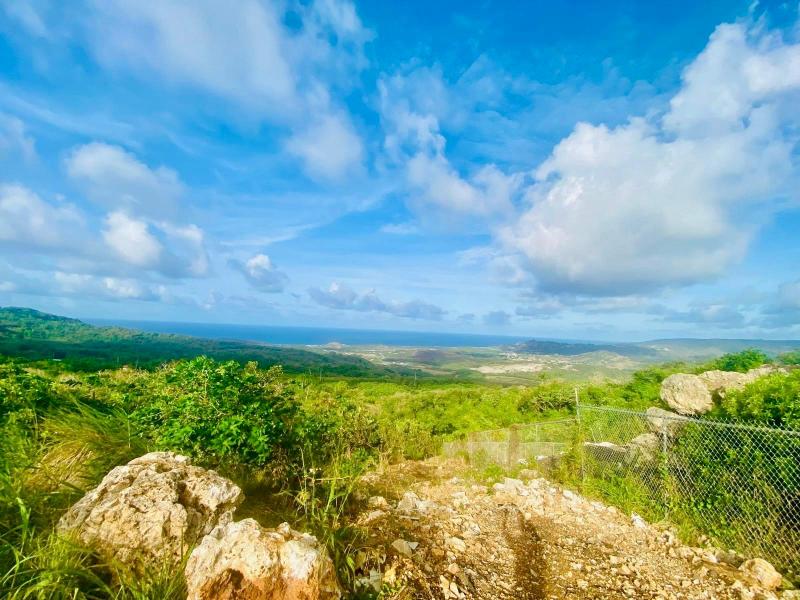 Mount Prospect land  , St Peter  