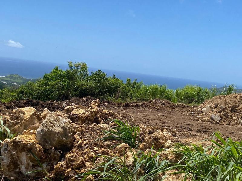 Mount Prospect land  , St Peter  