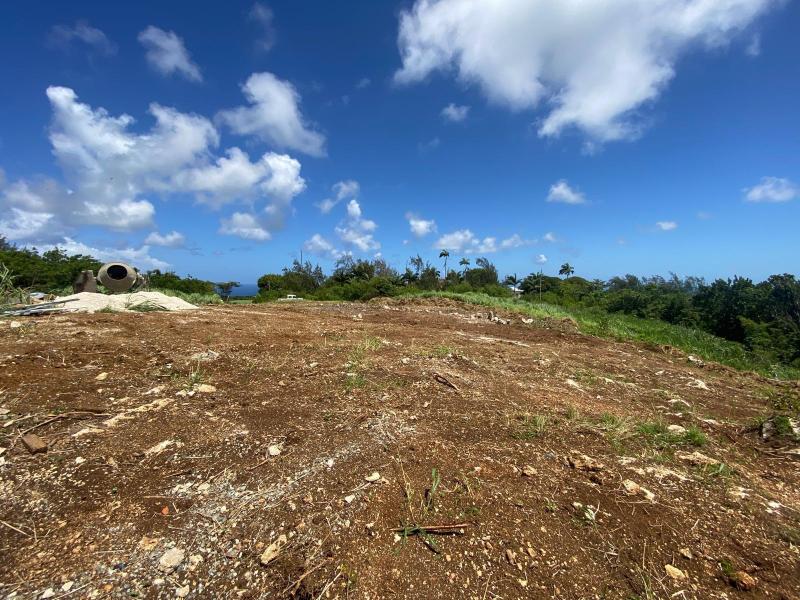 Mount Prospect land  , St Peter  