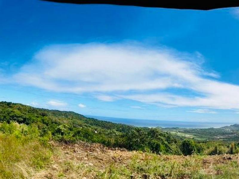 Mount Prospect land  , St Peter  