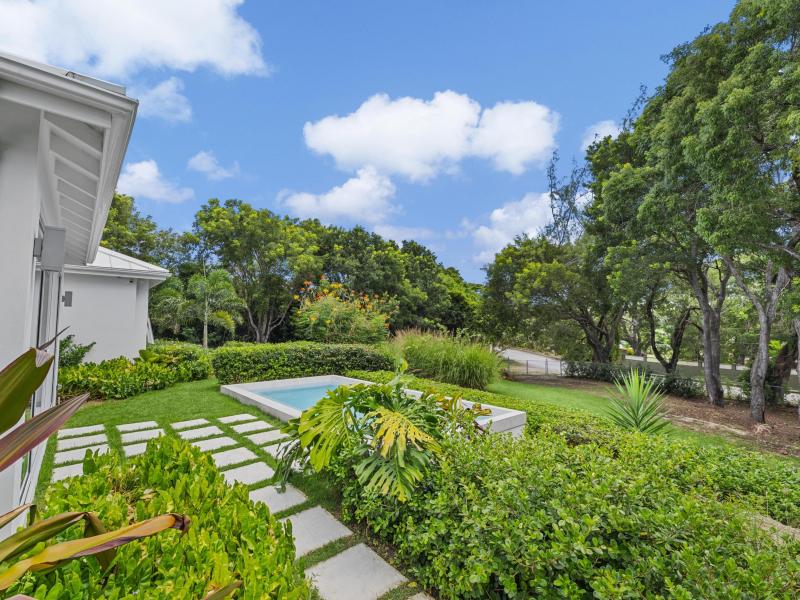 Koh-I-Noor in the Woods , St James , West Coast  