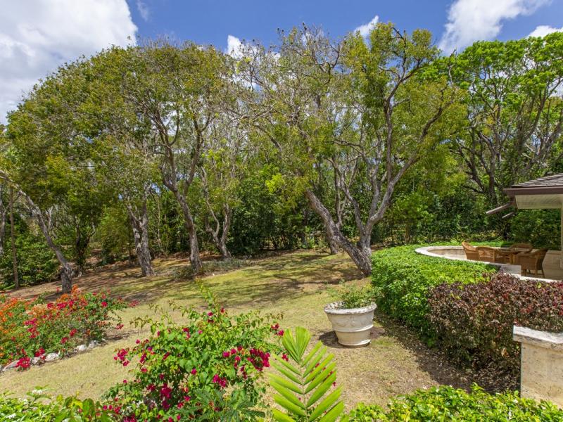 High Cane - Sandy Lane estate , Sandy Lane Estate , St James , West Coast  