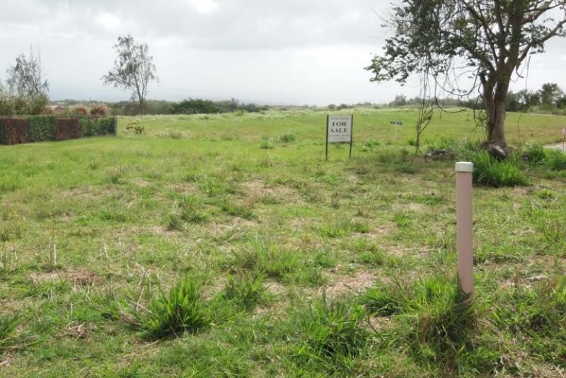 Land at Dunscombe, St Thomas Land at Dunscombe, St Thomas