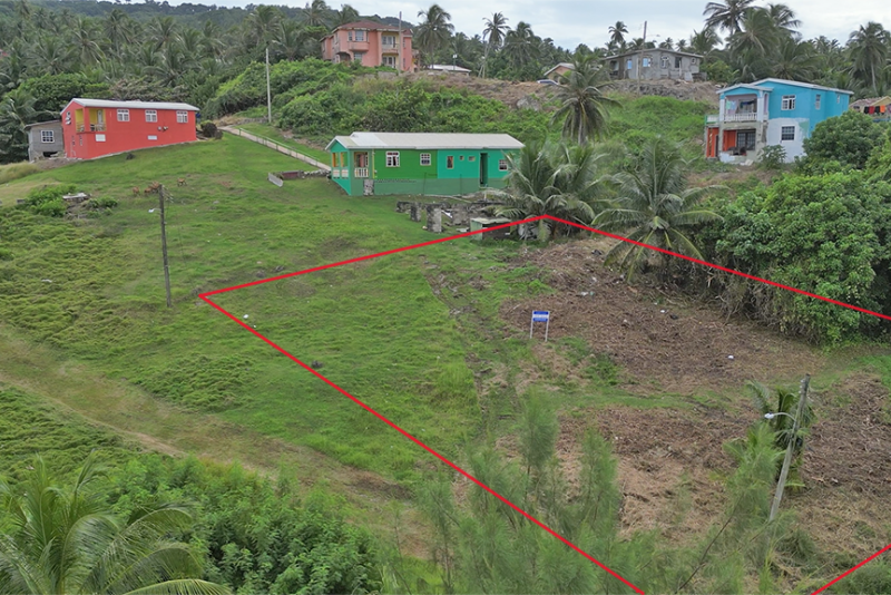 Bathsheba Lot 10 Bathsheba Lot 10
