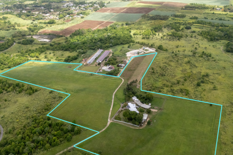 Belle Farm Lots 1A and 2A Belle Farm Lots 1A and 2A